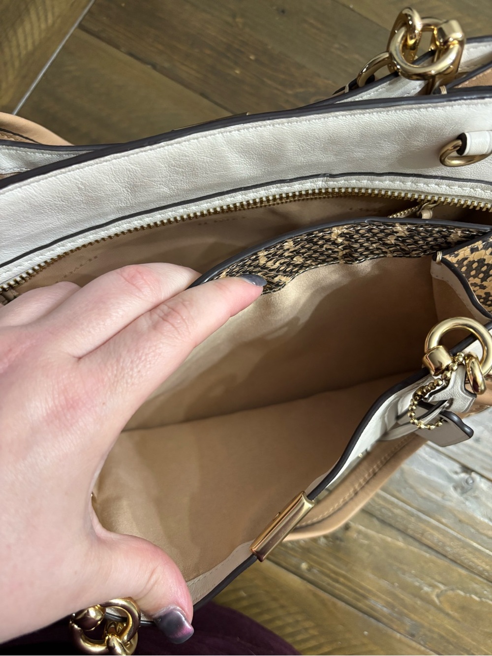 Coach Dreamer 36 in Colorblock with Snake Detail - Picture 12 of 16